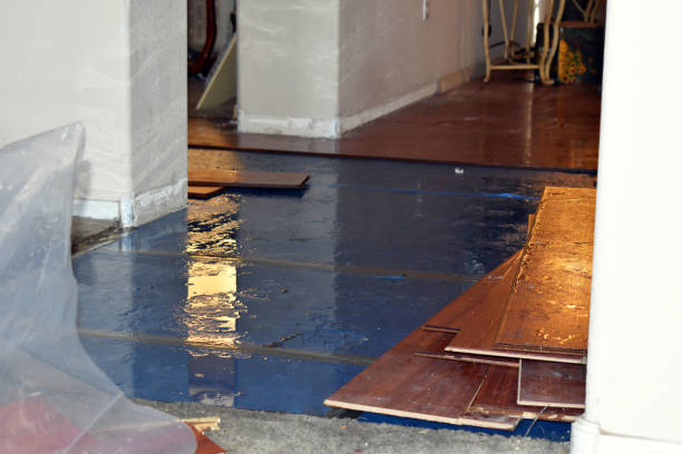 Professional Sewage Cleanup technician working in Running Springs, CA